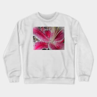 Stargazer Central Crewneck Sweatshirt